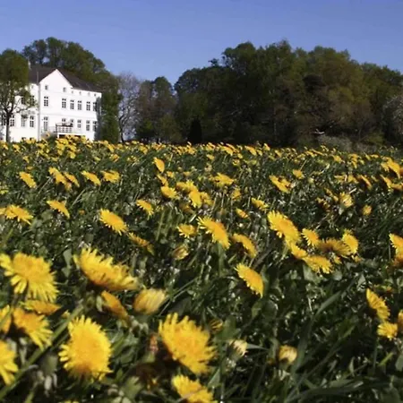 Daire Herrenhaus App.17 Blengow